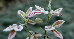Ostrzeżenie meteorologiczne (13.04.)