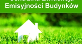 CEEB - złóż deklarację (od 1 lipca 2021 r.)