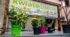 Przygarnij kwiatka na zimę!